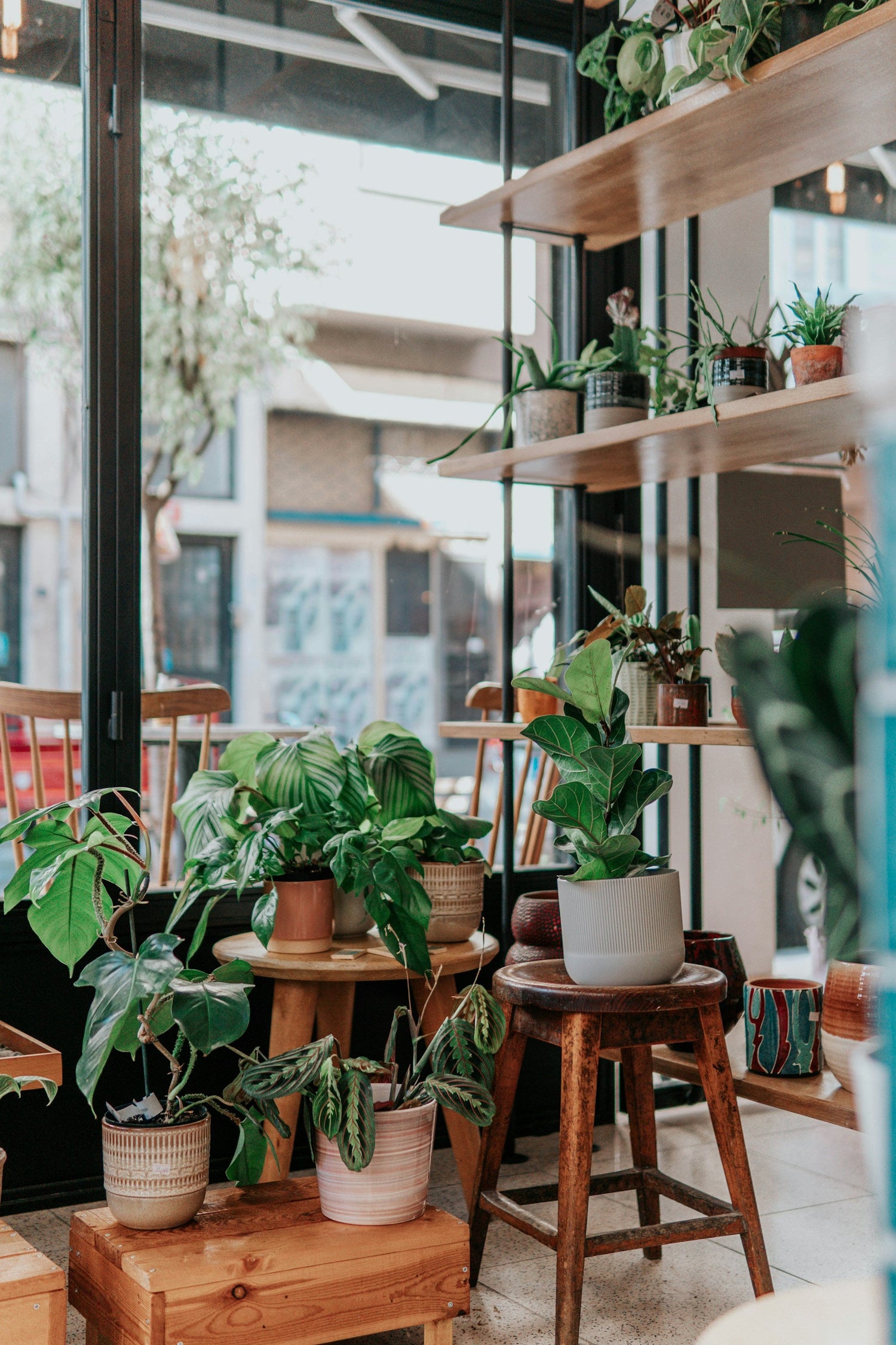 Planters & Pots