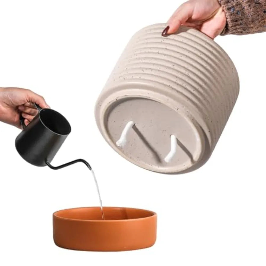 Indoor Self Watering Planter With Drainage And Water Storage Reservoir