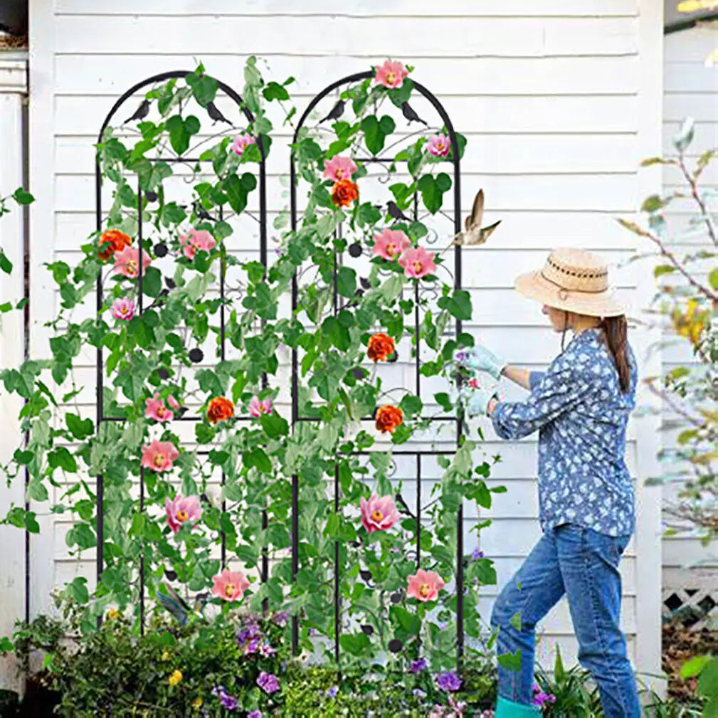 Anti Rust Metal Garden Trellis Fence For Climbing Plant Support