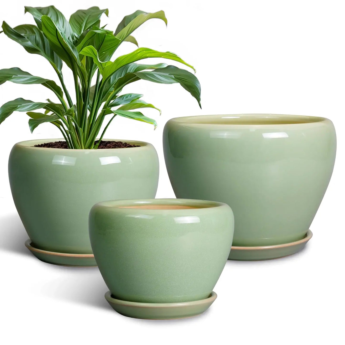 Epfactory Modern Ceramic Planter With Drainage Holes And Saucer