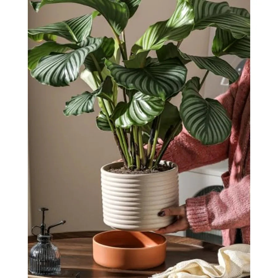 Indoor Self Watering Planter With Drainage And Water Storage Reservoir
