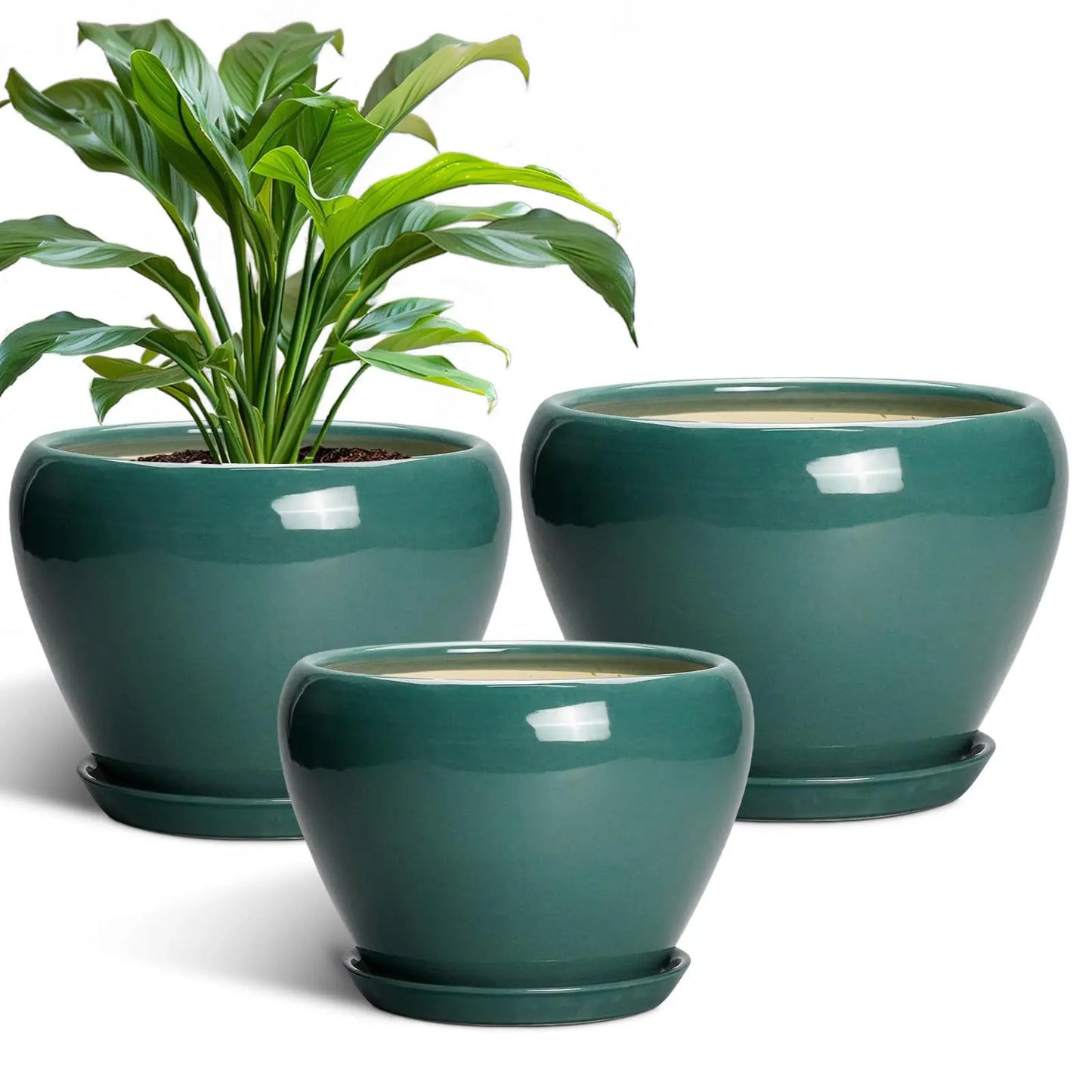 Epfactory Modern Ceramic Planter With Drainage Holes And Saucer