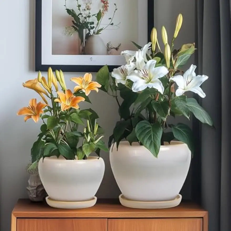 Epfactory Modern Ceramic Planter With Drainage Holes And Saucer
