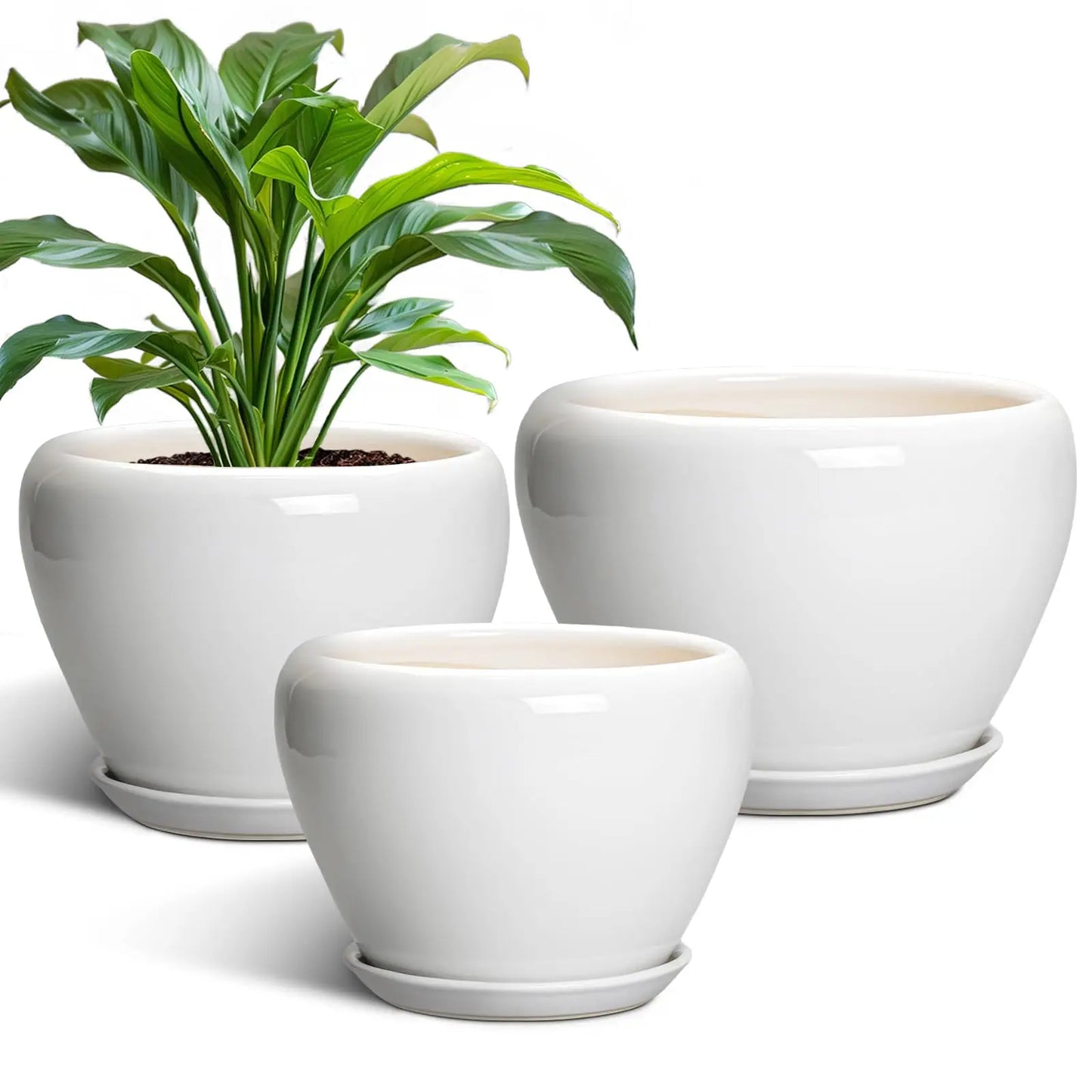 Epfactory Modern Ceramic Planter With Drainage Holes And Saucer