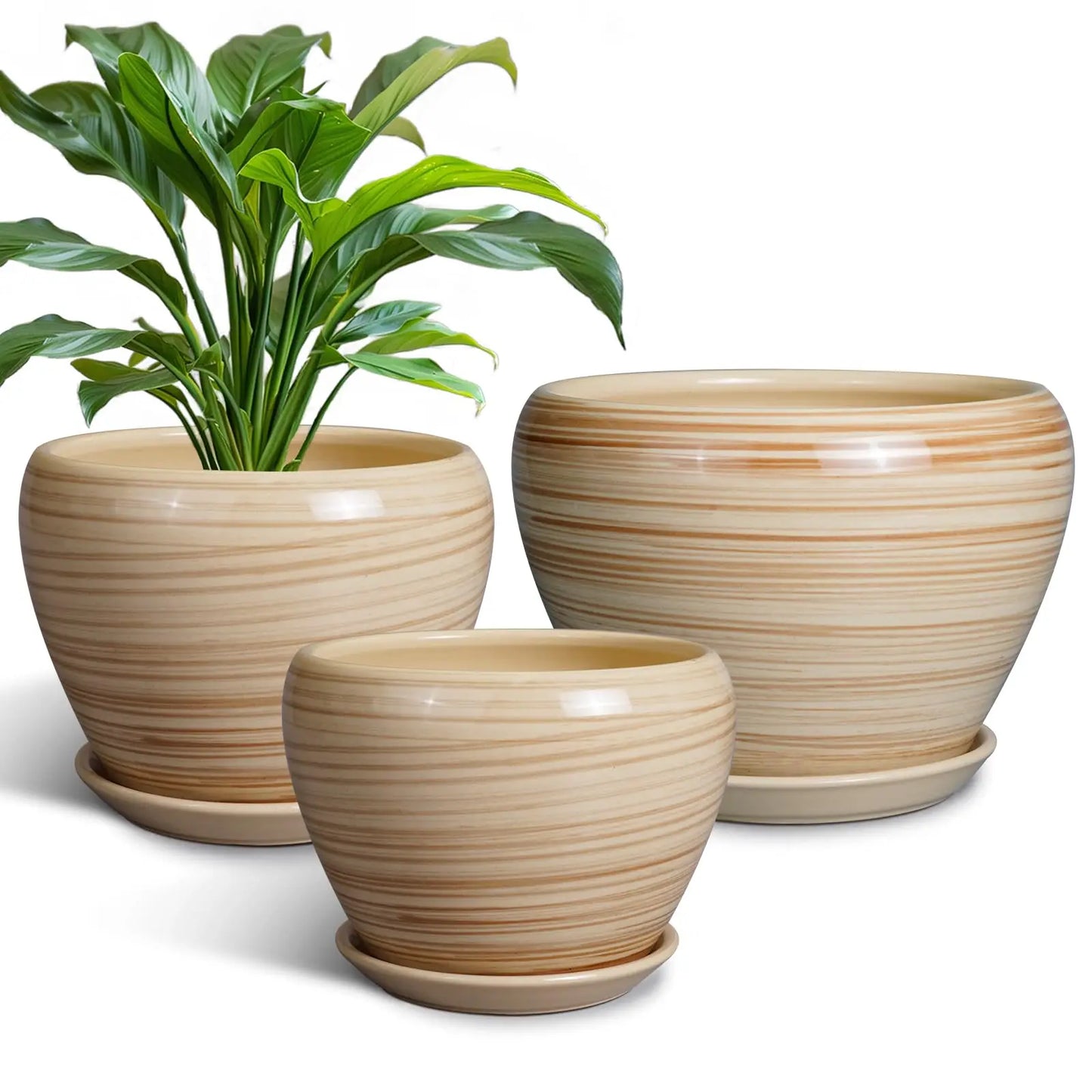 Epfactory Modern Ceramic Planter With Drainage Holes And Saucer