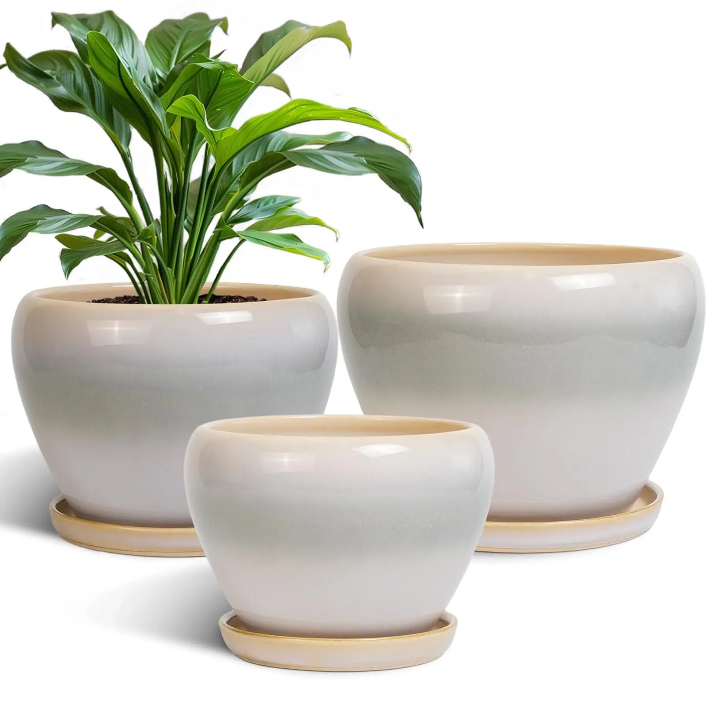 Epfactory Modern Ceramic Planter With Drainage Holes And Saucer