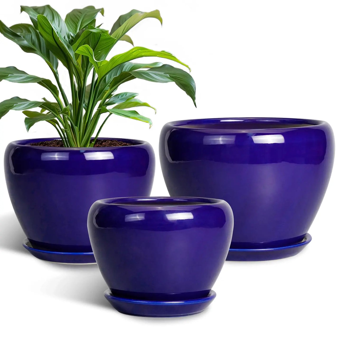 Epfactory Modern Ceramic Planter With Drainage Holes And Saucer