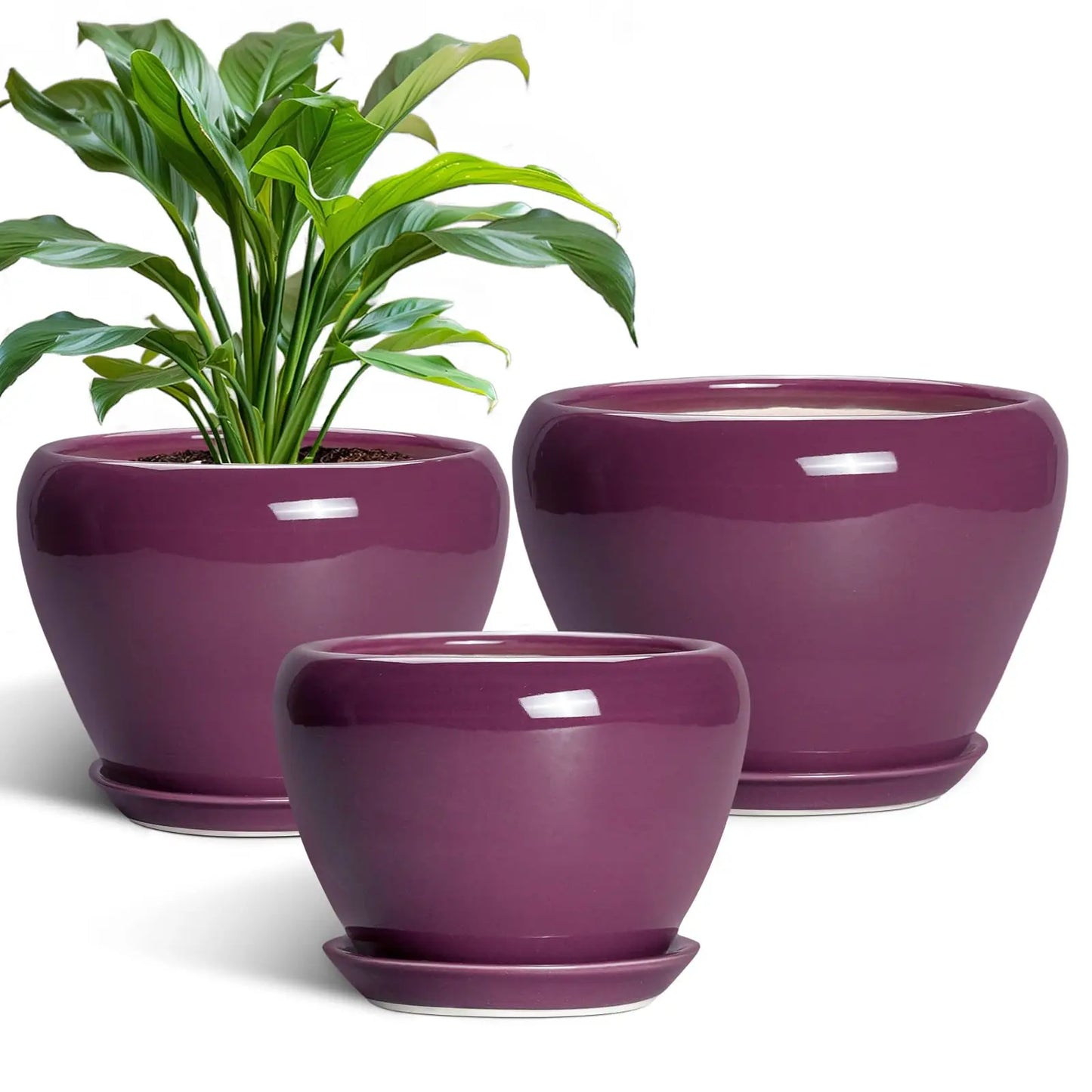 Epfactory Modern Ceramic Planter With Drainage Holes And Saucer