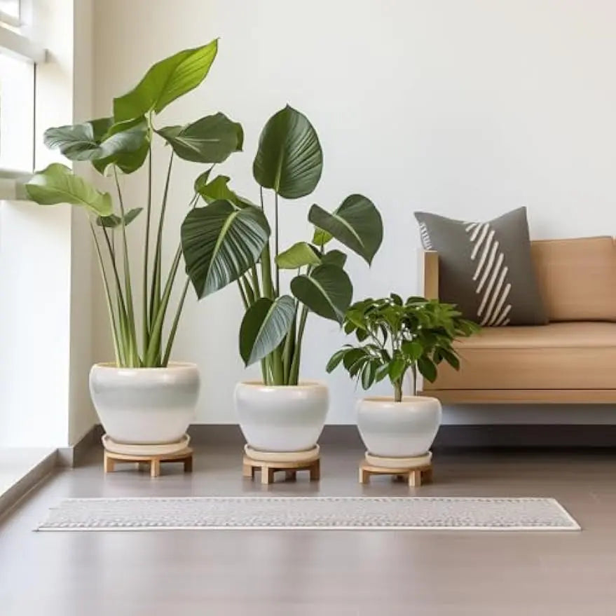 Epfactory Modern Ceramic Planter With Drainage Holes And Saucer