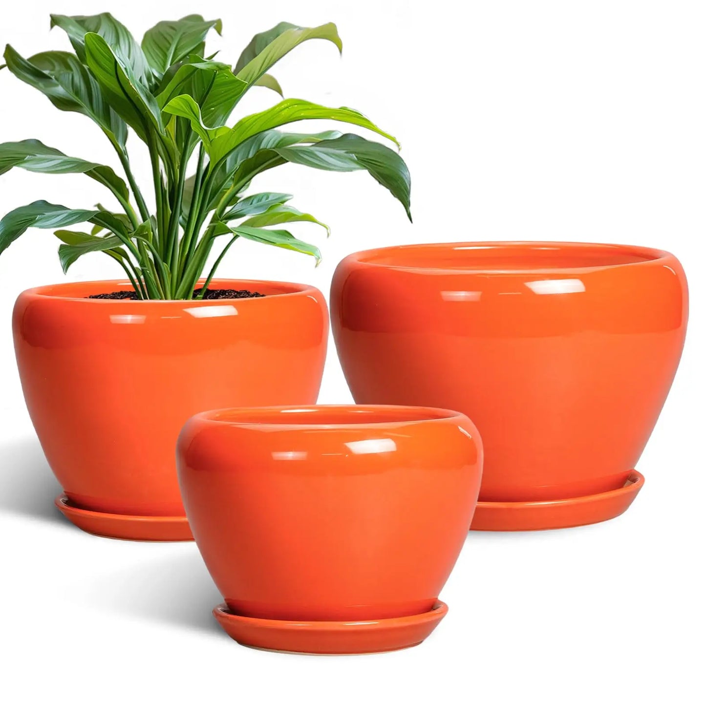Epfactory Modern Ceramic Planter With Drainage Holes And Saucer