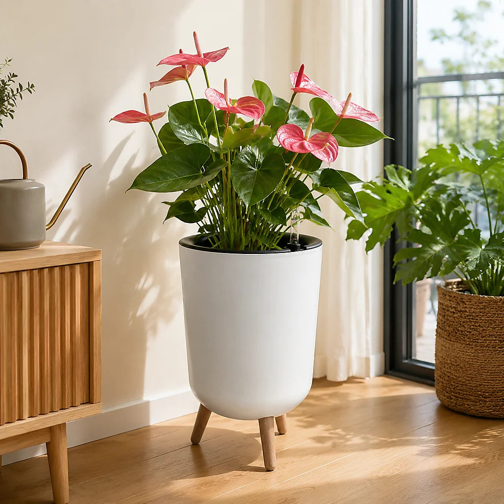 Self Watering Raised Garden Planter With Water Level Indicator