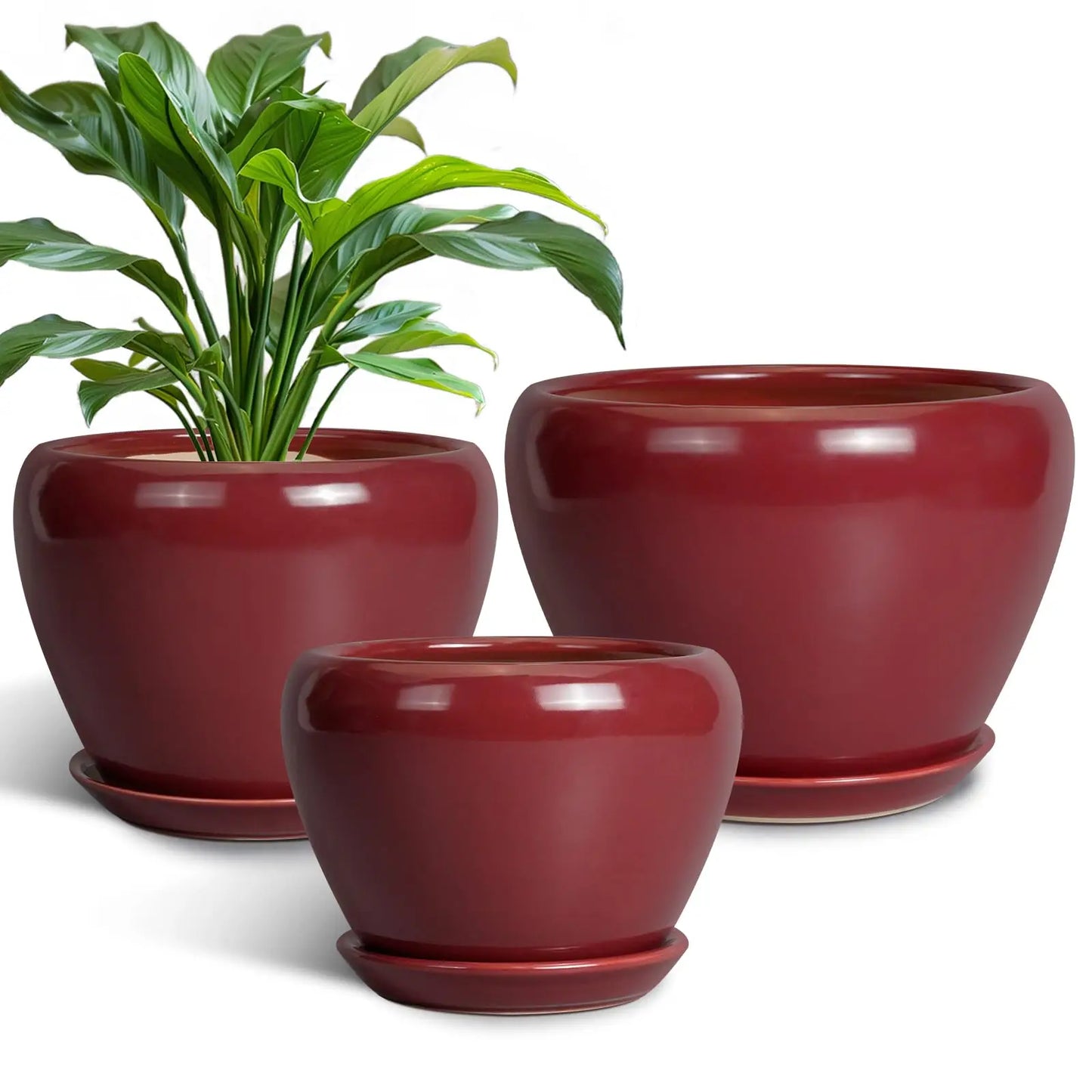 Epfactory Modern Ceramic Planter With Drainage Holes And Saucer