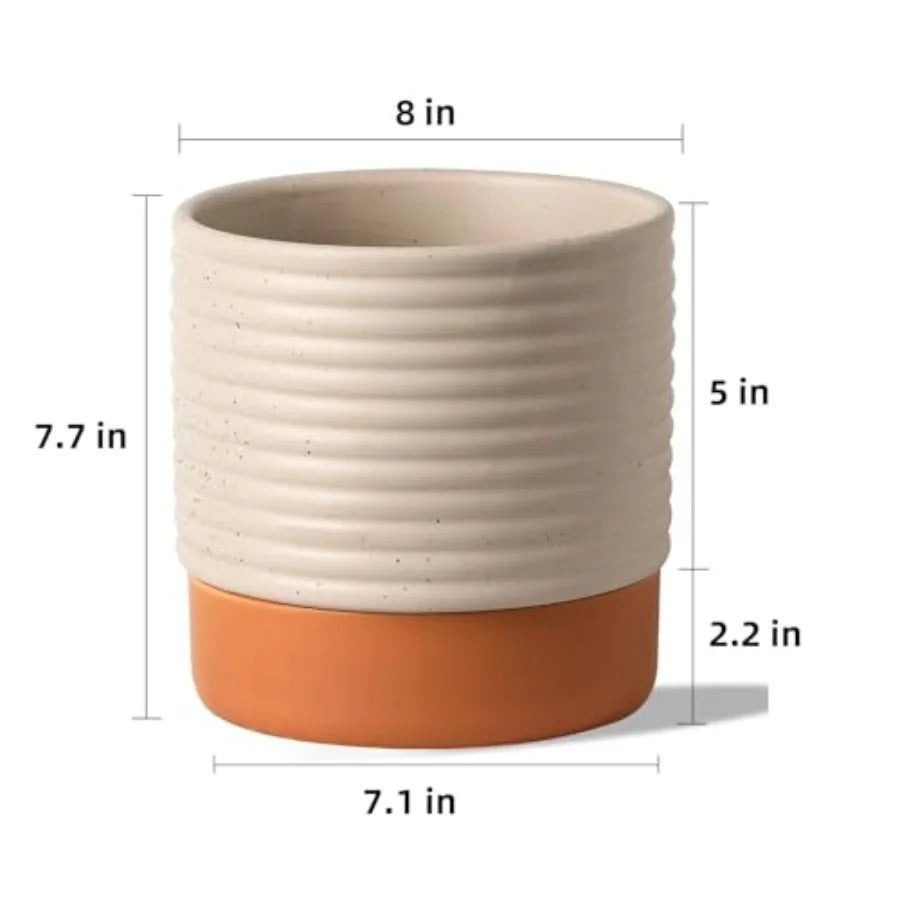 Indoor Self Watering Planter With Drainage And Water Storage Reservoir