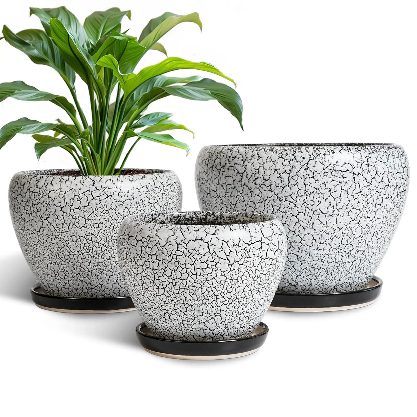 Epfactory Modern Ceramic Planter With Drainage Holes And Saucer