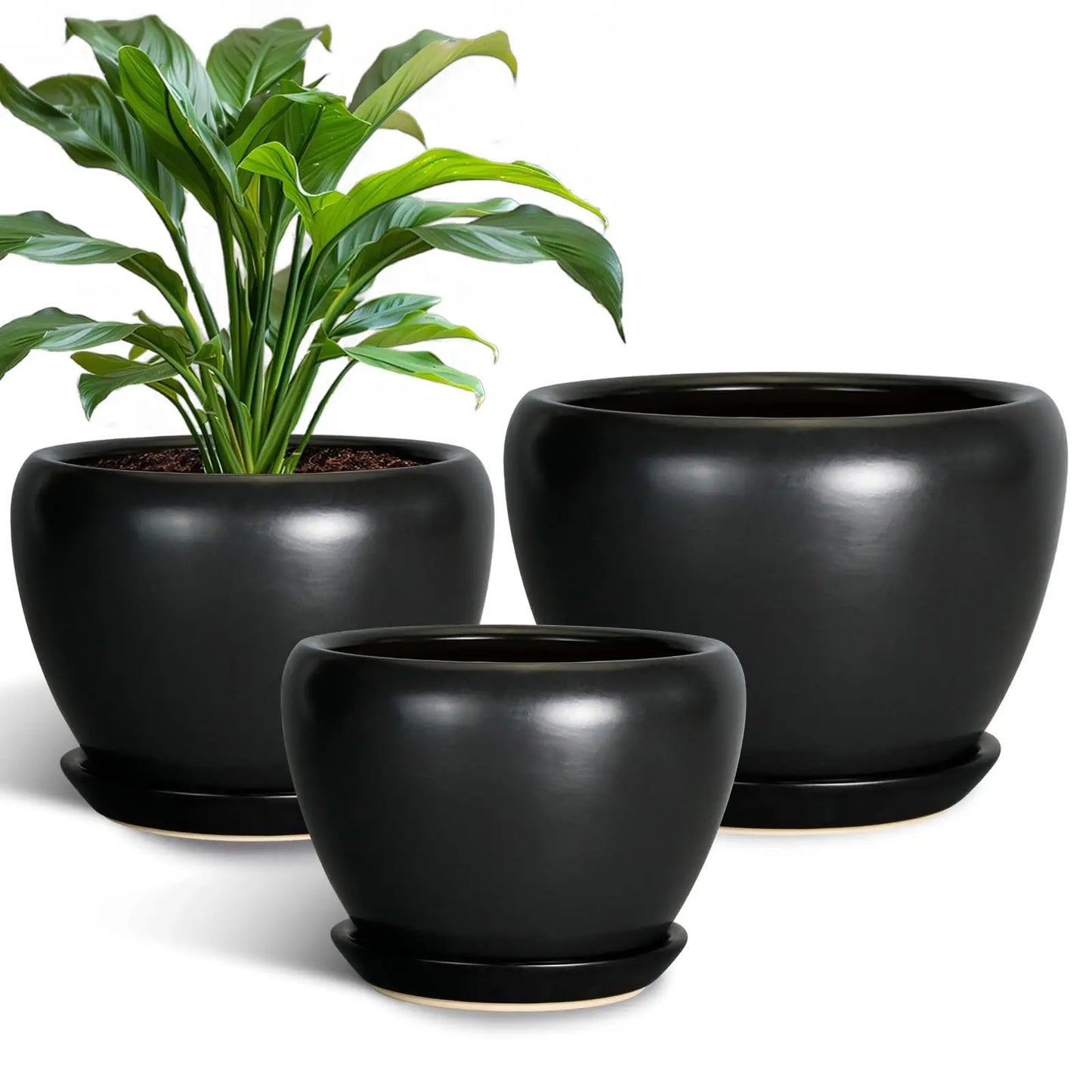 Epfactory Modern Ceramic Planter With Drainage Holes And Saucer