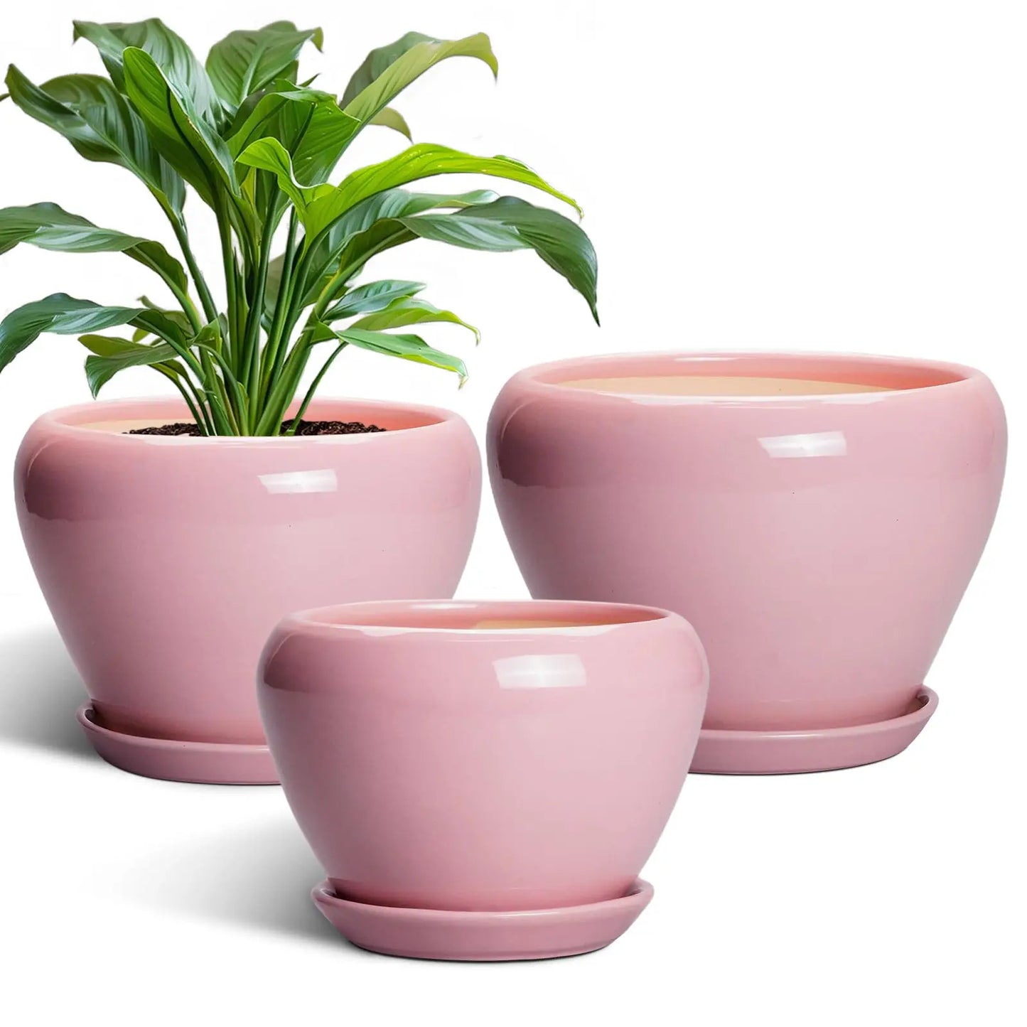 Epfactory Modern Ceramic Planter With Drainage Holes And Saucer