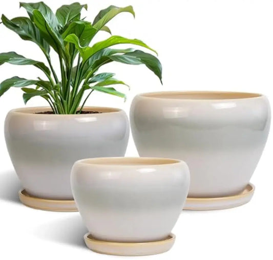 Epfactory Modern Ceramic Planter With Drainage Holes And Saucer