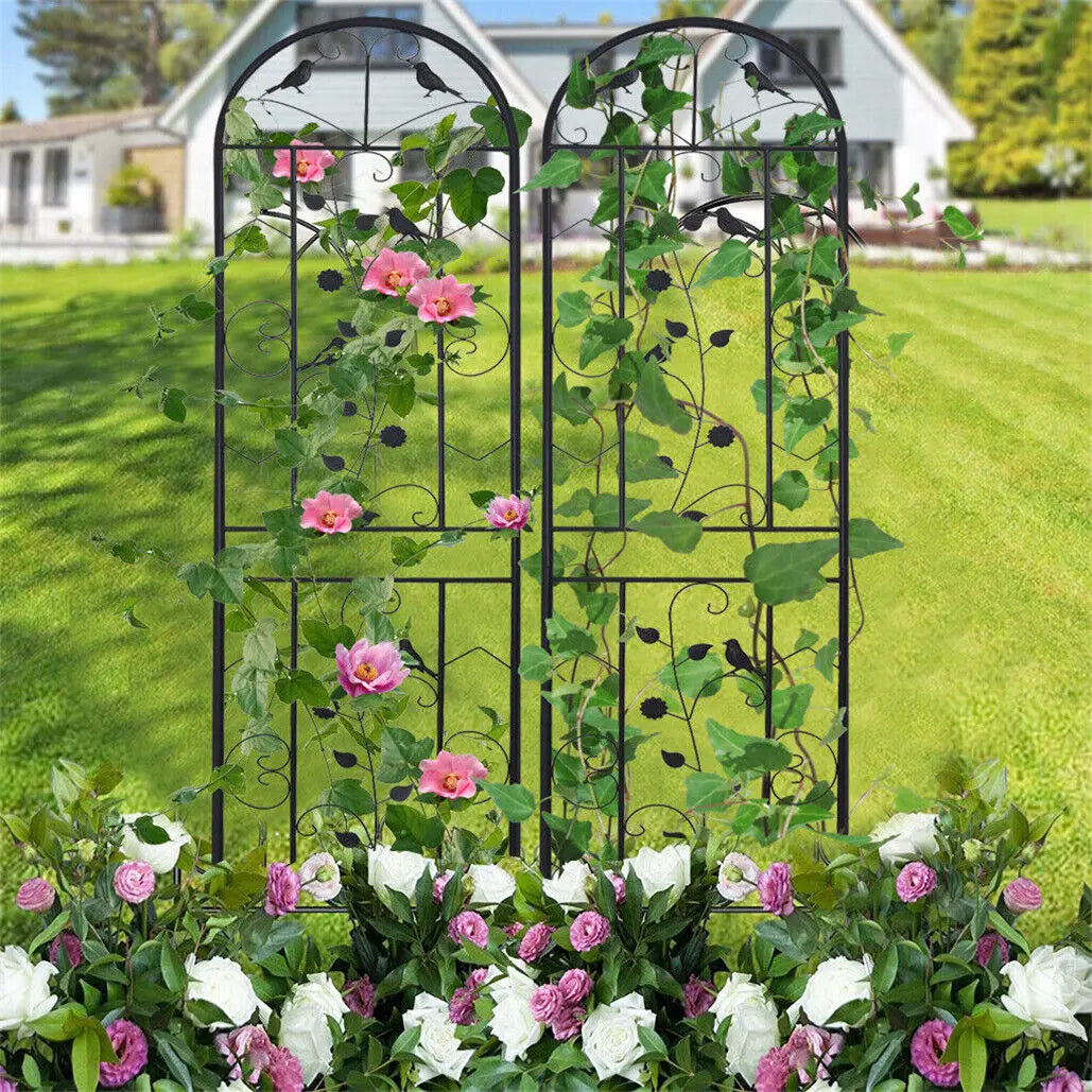 Anti Rust Metal Garden Trellis Fence For Climbing Plant Support