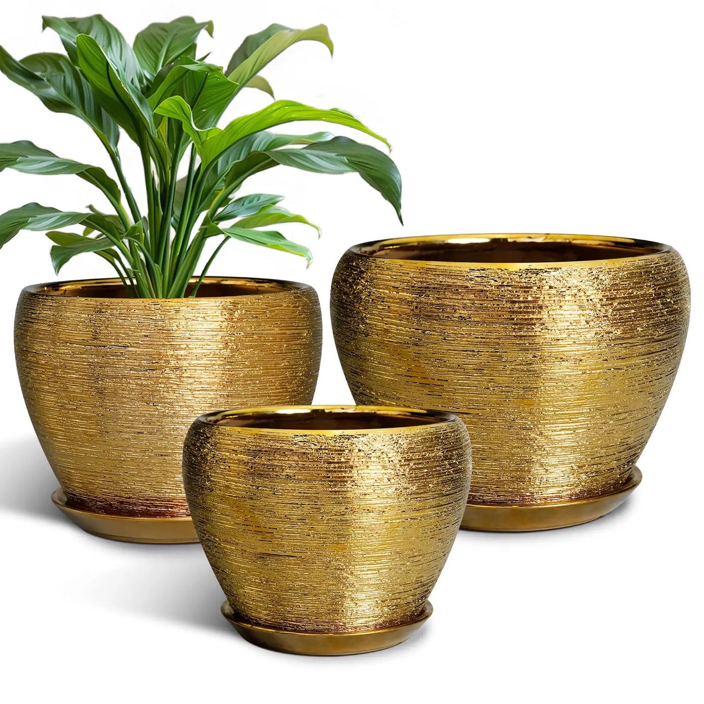 Epfactory Modern Ceramic Planter With Drainage Holes And Saucer